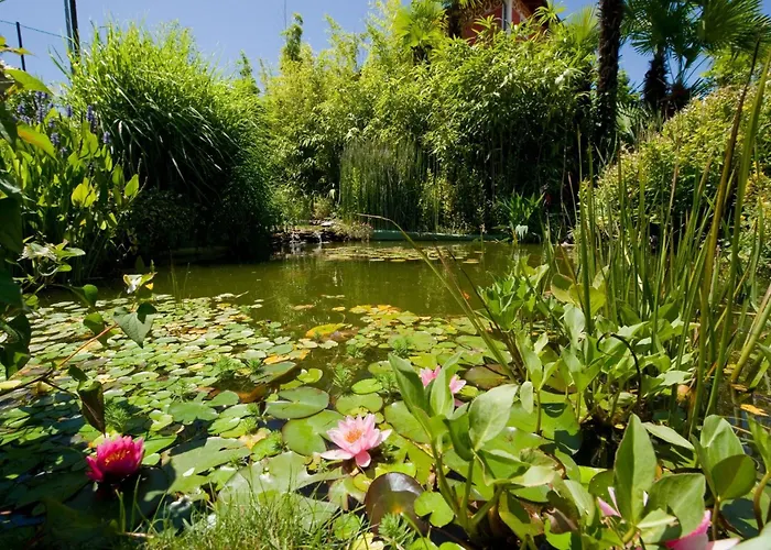 Regina Palace Ξενοδοχείο 4*